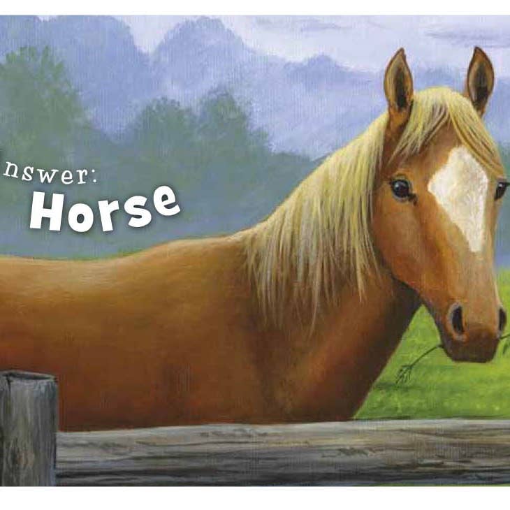 Little Texas Toddler Board Book