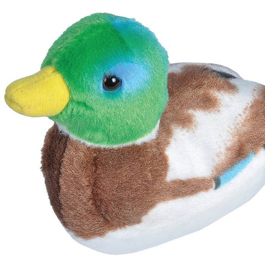 Stuffed Animals