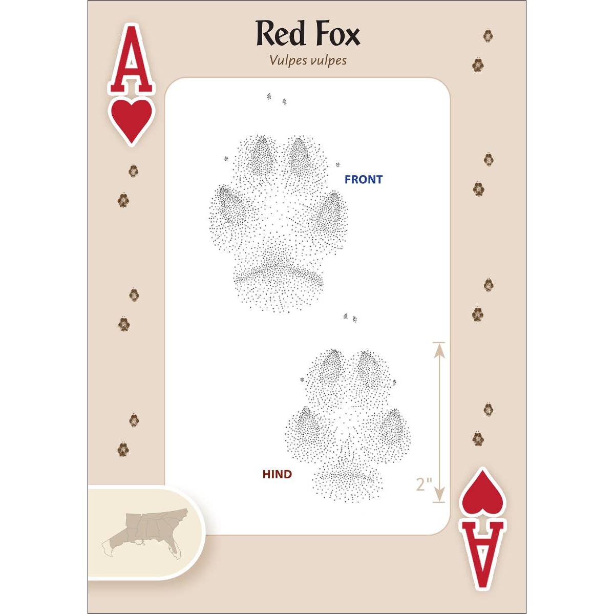 Animal Tracks of the Southeast Playing Cards