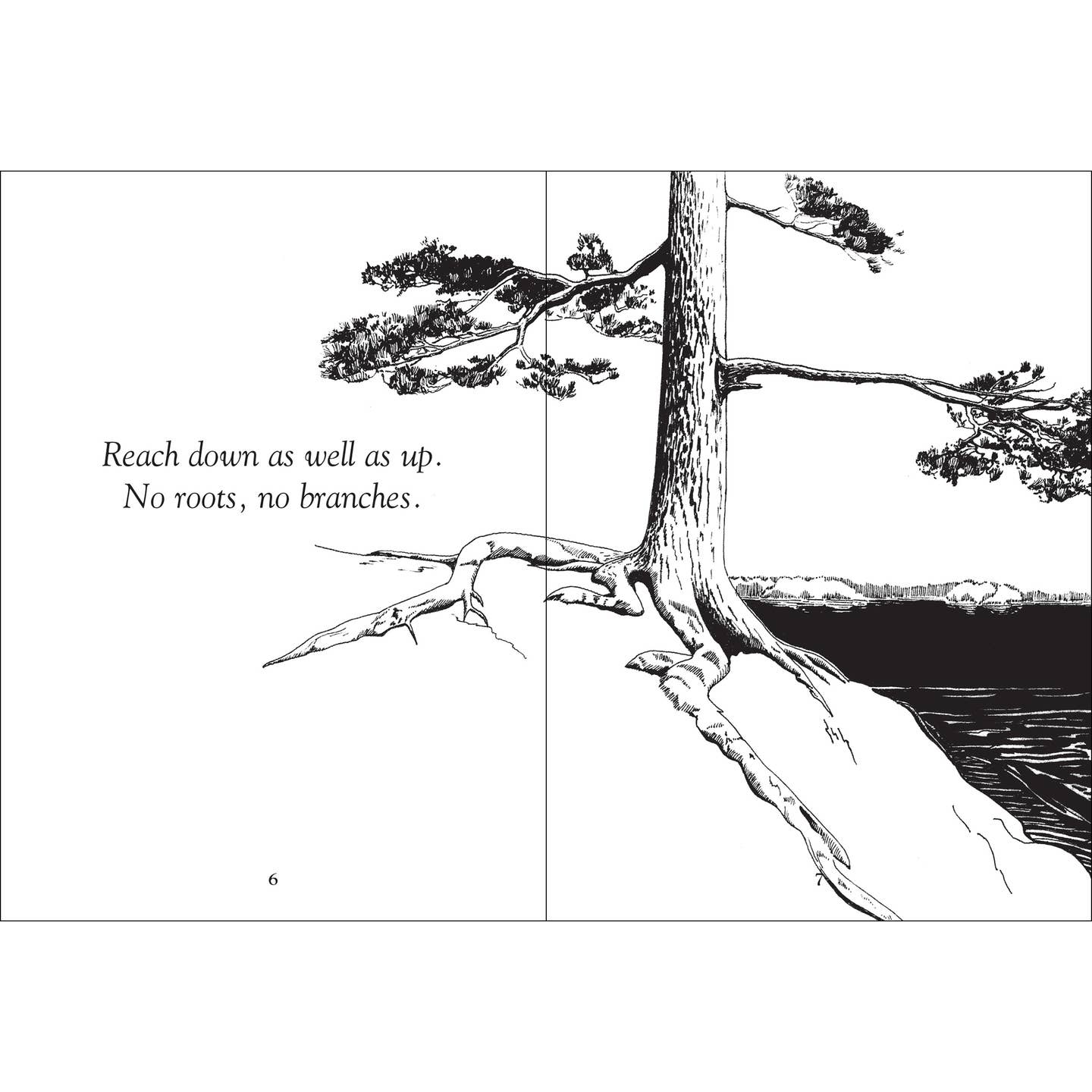 Things Trees Know by Douglas Wood