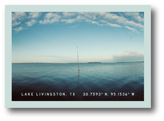 Lone Tree on Lake Livingston Sticker